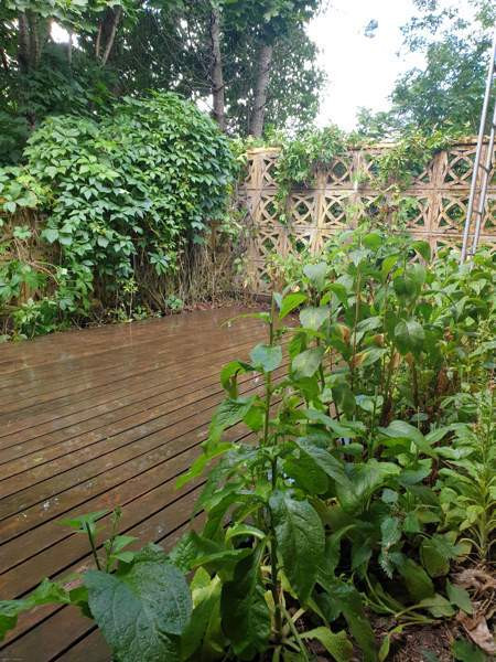 4h, k, s, kh, at, v  Somero - photo 4