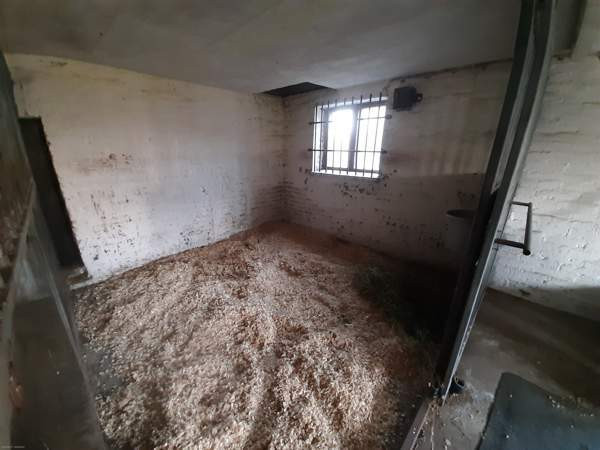 3h + s  Rääkkylä – foto 4