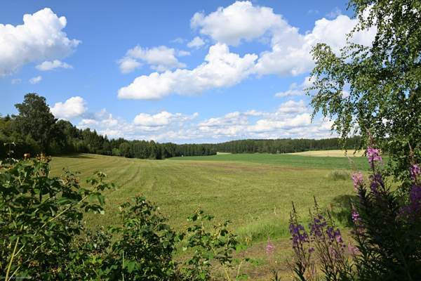 tupa+3h+k+apuk+wc-kph+s+at  Hämeenlinna - valokuva 3