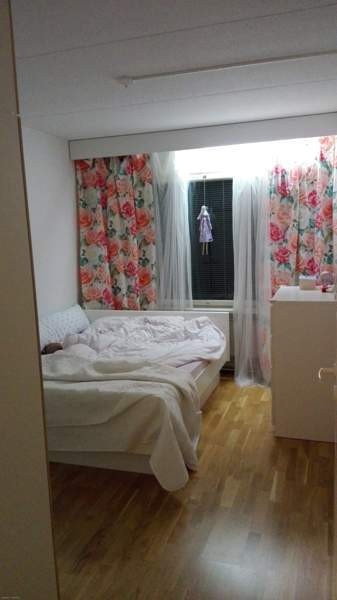 2h + kk  Chukotskiy Avtonomnyy Okrug - photo 4