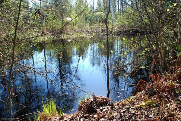 5h+k+kph+aula+vintit+kellari, rantasaunassa kamari  Haemeenlinna – foto 4