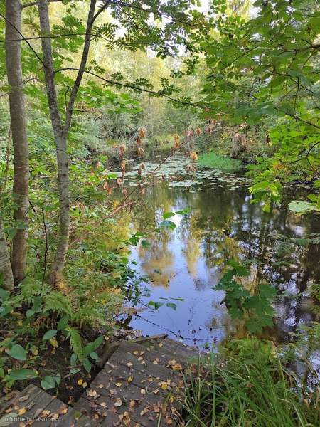 5h+k+kph+aula+vintit+kellari, rantasaunassa kamari  Хямеэнлинна - изображение 3