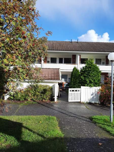 3h + k + s  Turtkul - photo 1