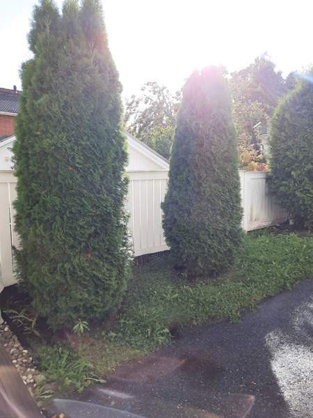 3h + k + s  Turtkul - photo 2