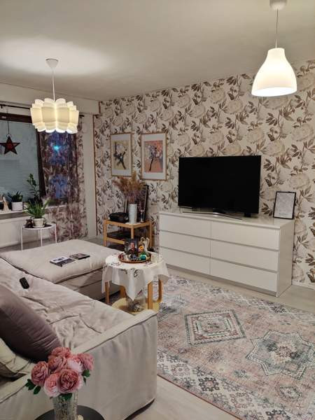 2h + k + s  Kiuruvesi - valokuva 4