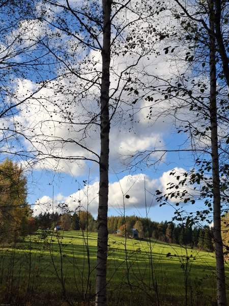 Oh + k + pkh + psh + s + 2mh + wc  Йоэнсуу - изображение 4