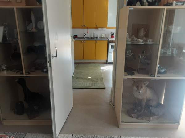 2h + k + p  Kajaani – foto 7