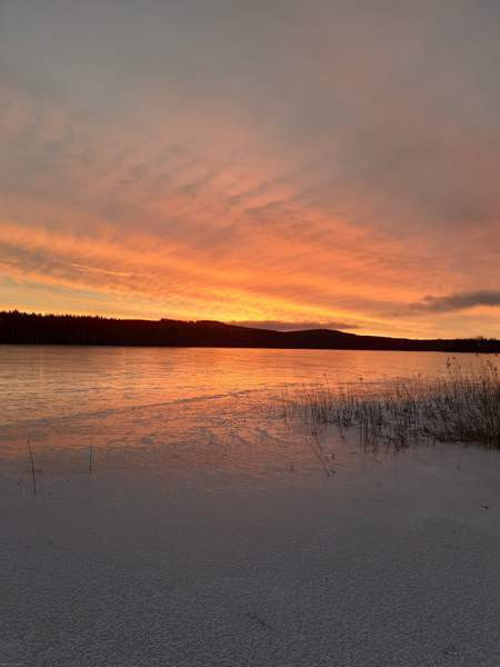 4h + s  Toivakka - photo 1