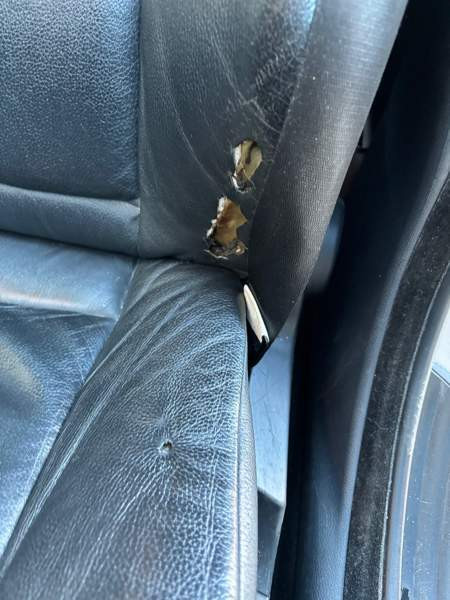 BMW 525 Kerava - valokuva 6