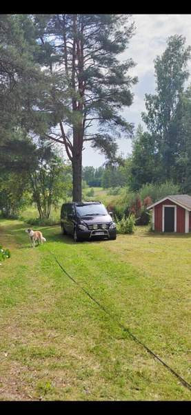 Mercedes-Benz Vito Tammela - valokuva 1