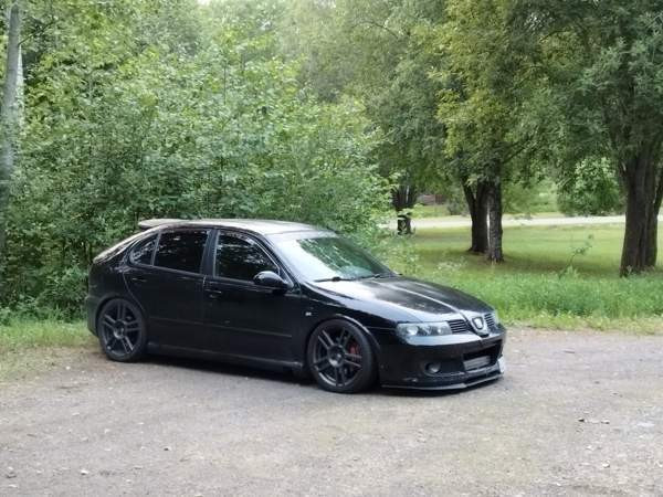 Seat Leon Tammela - valokuva 1