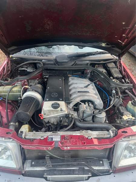 Mercedes-Benz 300 Луга - изображение 2