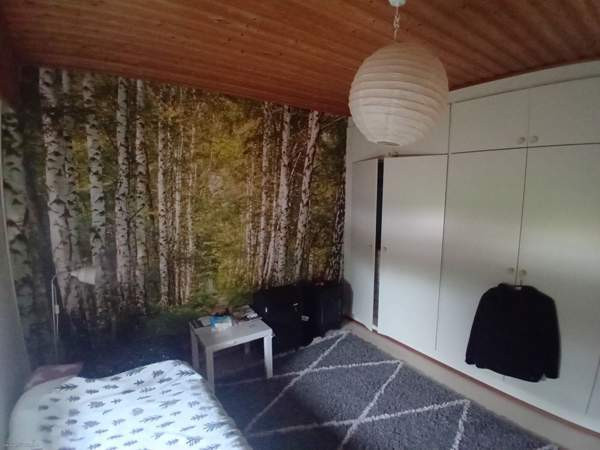 2h + k + s  Siikajoki - valokuva 4
