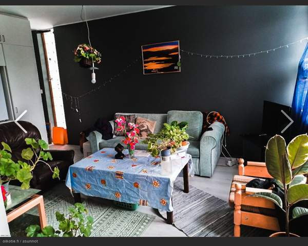 1h + p  Коувола - изображение 2