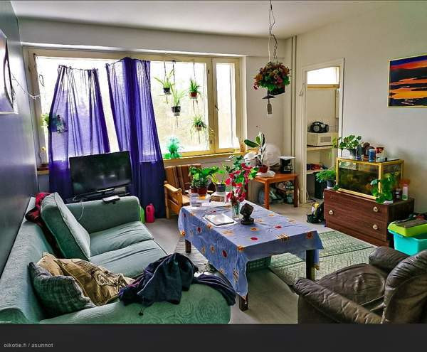 1h + p  Коувола - изображение 1