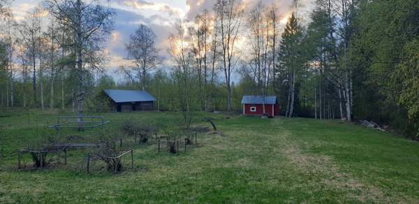 3h + avok + s  Juuka – foto 3