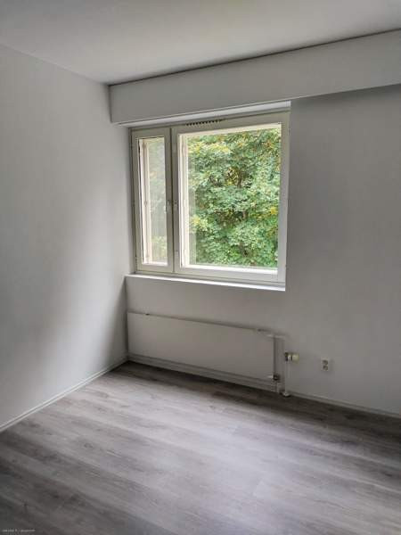 3h + s + p  Imatra - photo 3