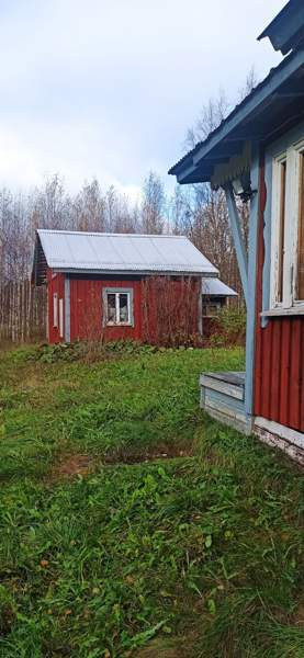 2h + s  Keitele - photo 1