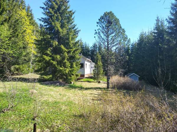 3h  Glebychevo - valokuva 1