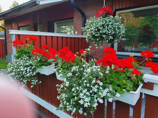 2h+keittiö  Kemijärvi - photo 1