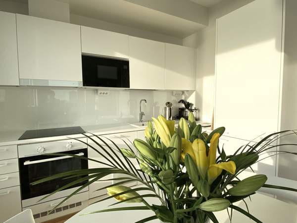 Merinäköalalla 2h+k+sauna+lasit.p  Helsinki - photo 4