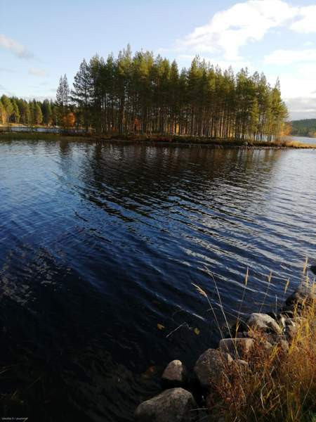 4h + kk + s  Kemijärvi - photo 4