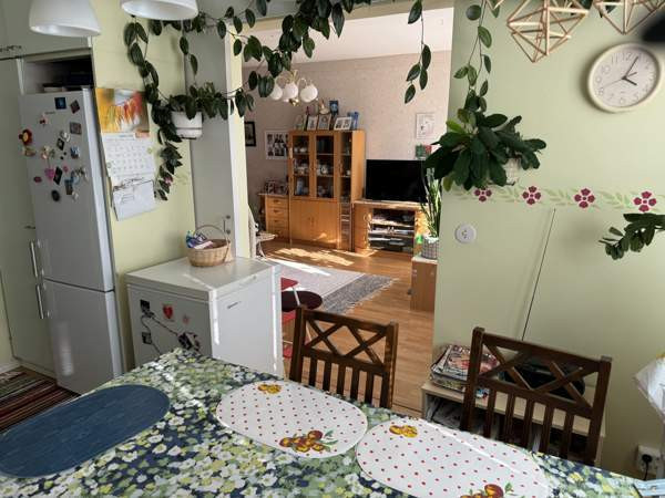 3h+wc  Lieksa - photo 6