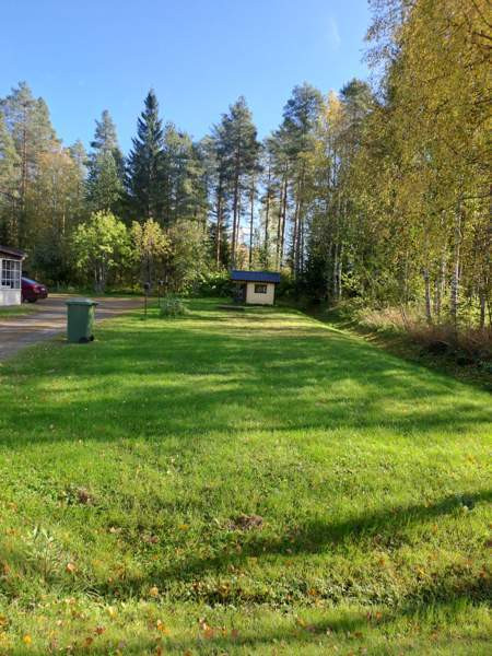 3h + k + s  Kuhmo - изображение 3