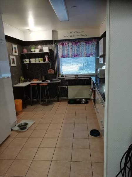 oh,4mh,k,rh,s,kph,tk, 2wc,khh,vh,at  Glebychevo - photo 5