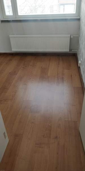 4h + s + p  Joensuu - photo 8