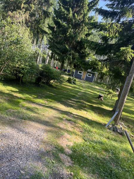 2h + k + s  Liperi - valokuva 2