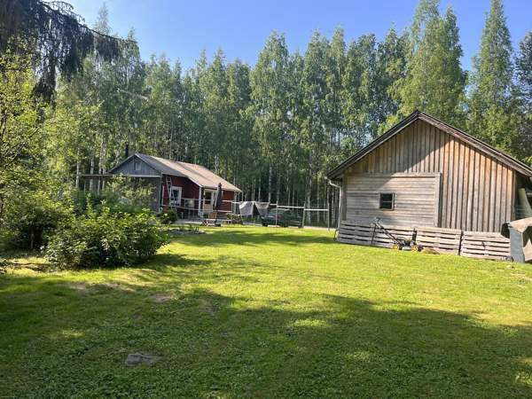 2h + k + s  Liperi - valokuva 8