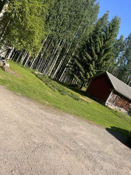 2h + k + s  Liperi - valokuva 3