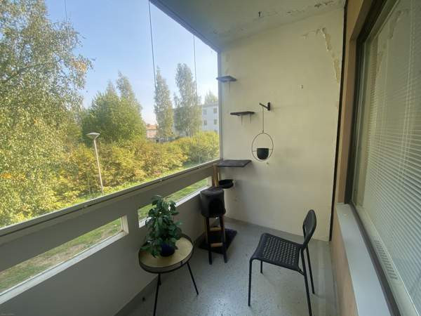 3h, k, kph/wc, vh, lasitettup  Macau - valokuva 8