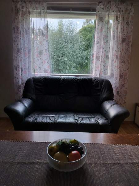 4h + k + s  Luumäki - valokuva 5