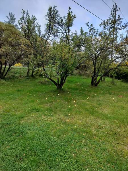 4h + k + s  Luumäki - valokuva 2