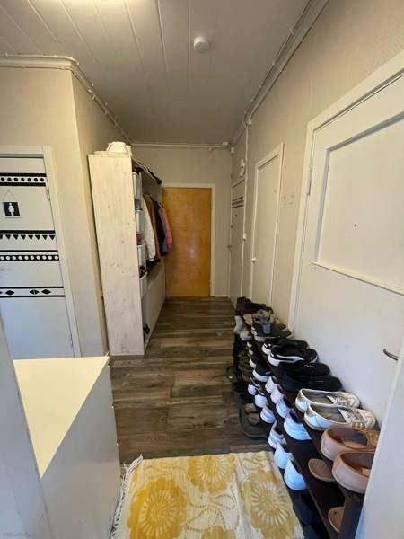 5h  Soini - valokuva 8