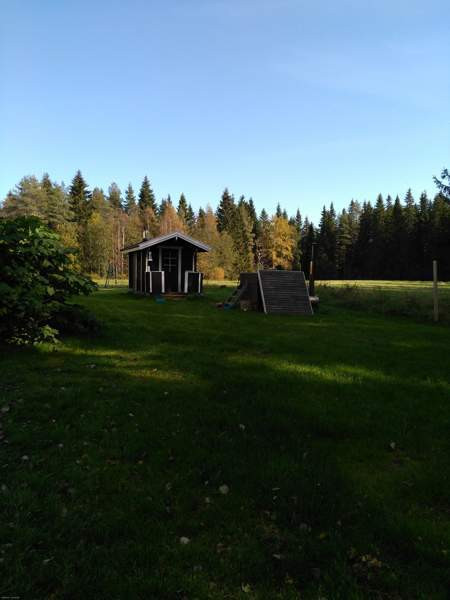 5h  Soini - valokuva 3