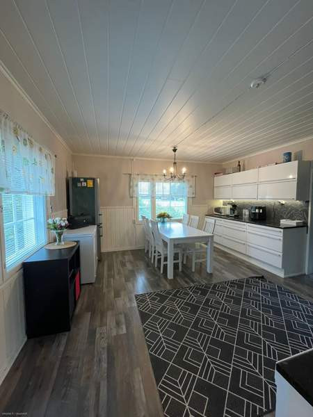 5h  Soini - valokuva 7