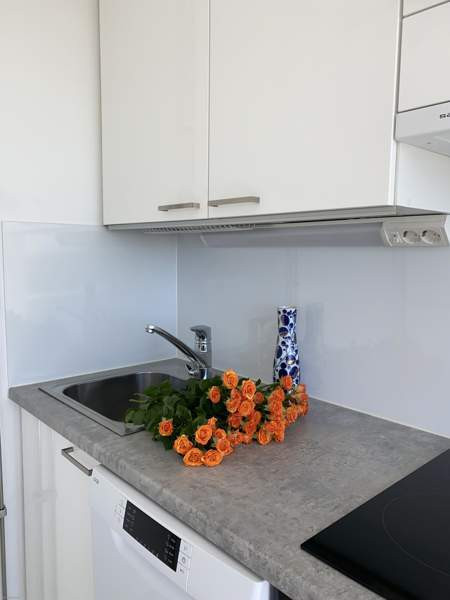 1 valoisa huone + keittiö + kylpyhuone + vaatehuon  Hyvinge - photo 7