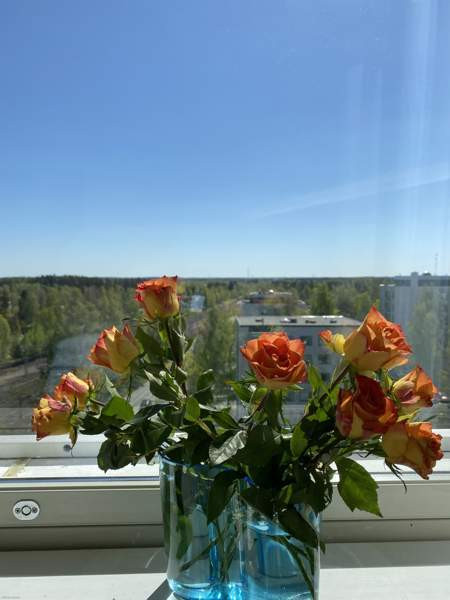 1 valoisa huone + keittiö + kylpyhuone + vaatehuon  Hyvinge - photo 1