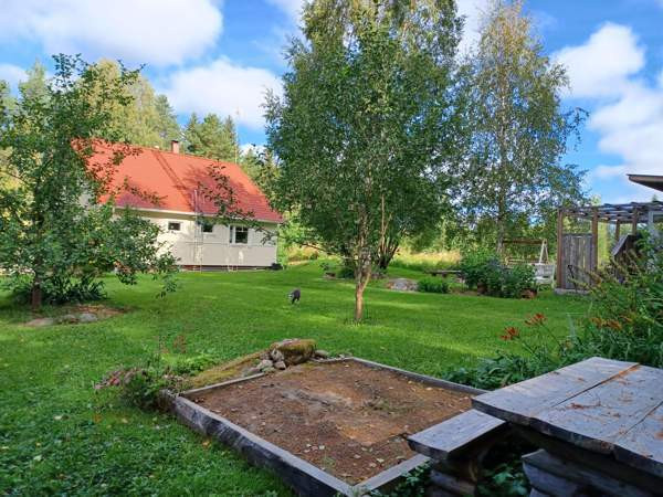 4h + s + p  Leppävirta - photo 3