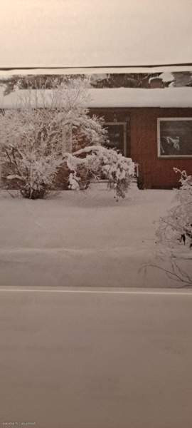 3h + avok  Pyhäjärvi - photo 4