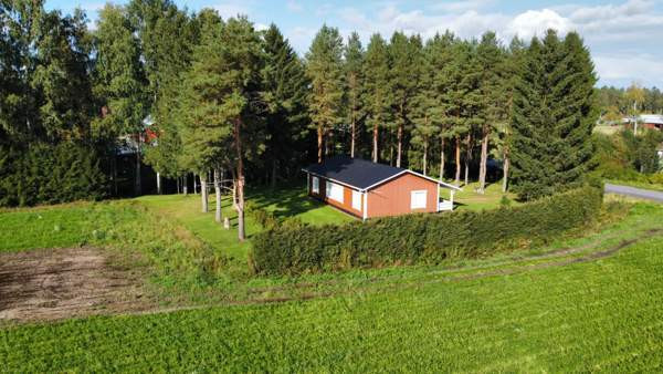 4h + k+ s + psh  Ylihärmä - valokuva 1