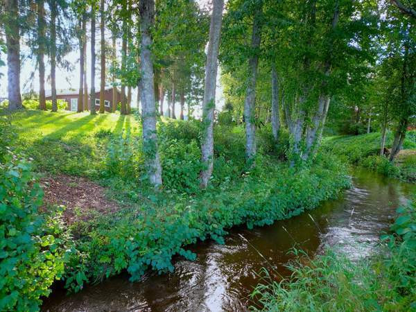 4h + k+ s + psh  Ylihärmä - valokuva 3