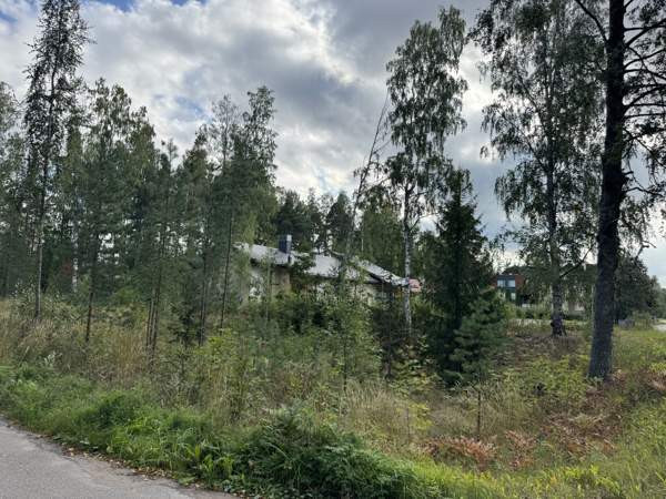 Tontti  Imatra – foto 2