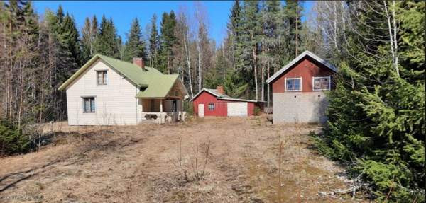 3h  Kurikka - valokuva 1