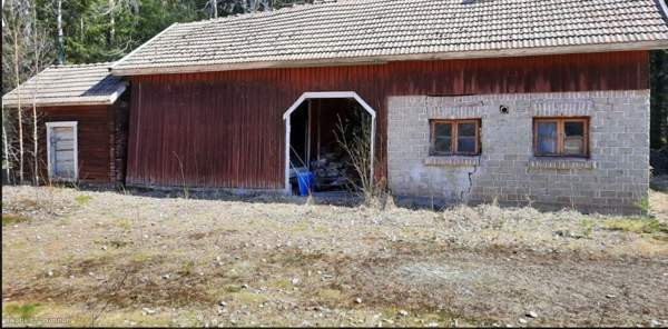 3h  Kurikka - valokuva 4