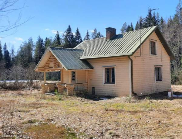 3h  Kurikka - valokuva 3