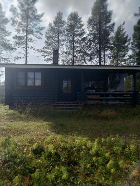 3h + avok + s + p  Kifri - valokuva 1